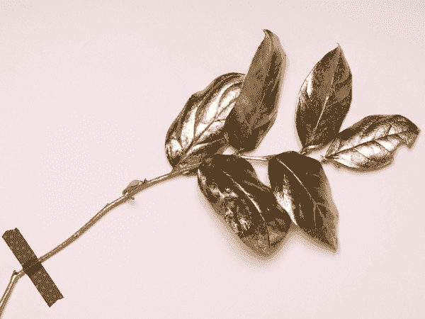 文旅行业数字化